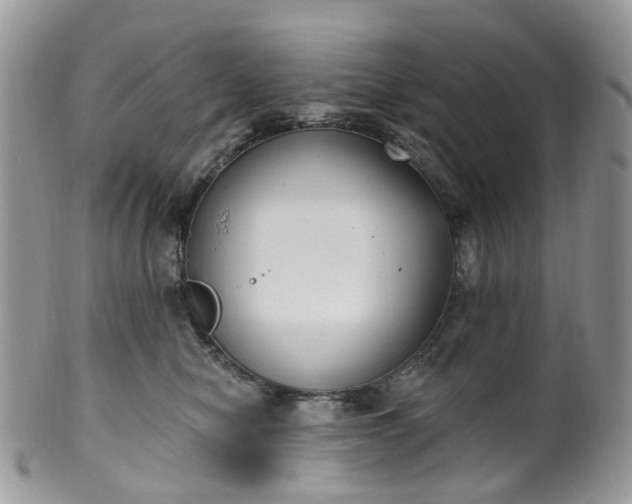 X0000100410470200806131040