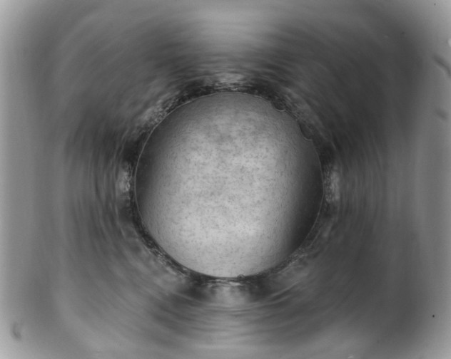 X0000100410472200806131040