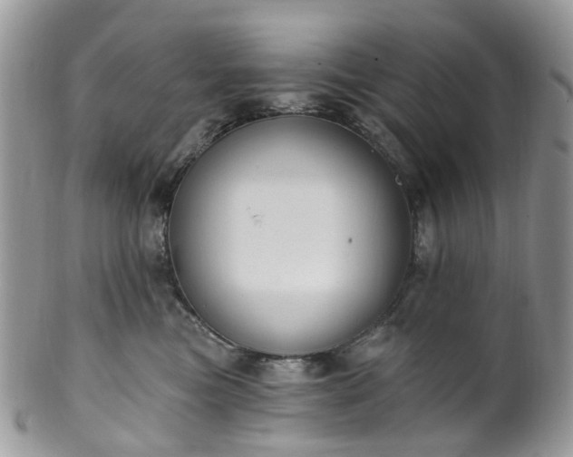 X0000100410473200806131040