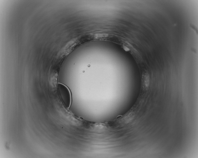 X0000100410475200806131040