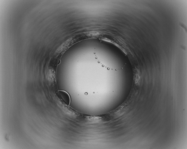 X0000100410476200806131040