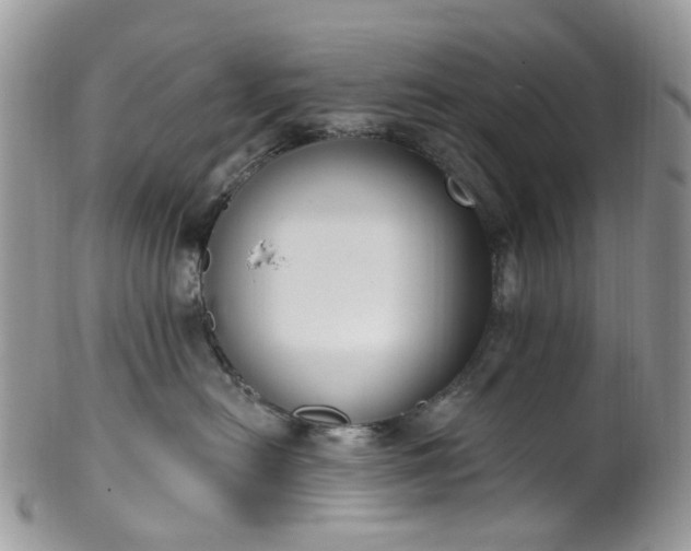 X0000100410478200806131040