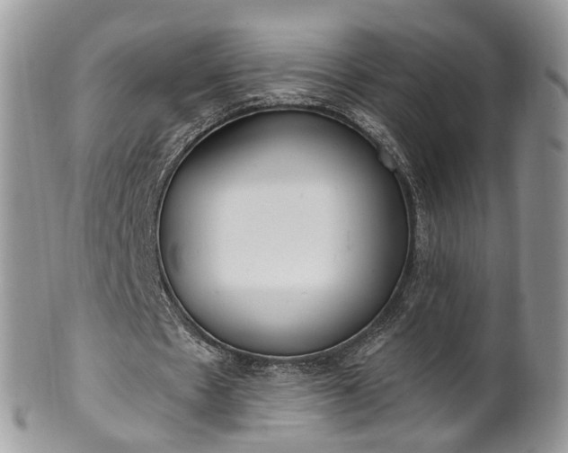 X0000100410481200806131039