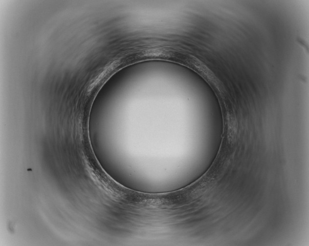 X0000100410482200806131039