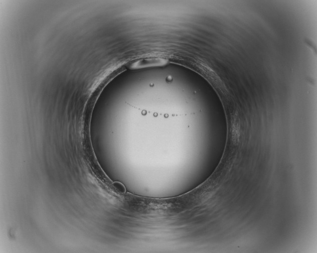 X0000100410484200806131039