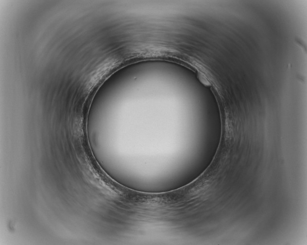 X0000100410485200806131039