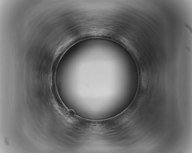 X0000100410486200806131039