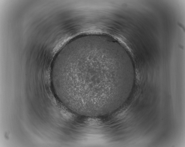 X0000100410487200806131039