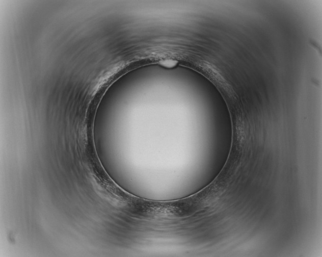 X0000100410488200806131039