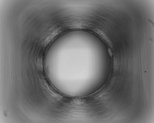 X0000100410489200806131039