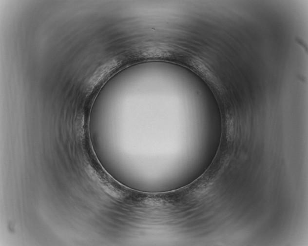 X0000100410490200806131039