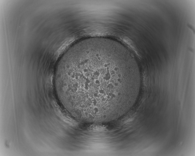 X0000100410491200806131039