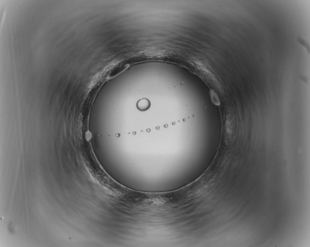 X0000100410492200806131039