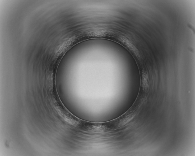 X0000100410493200806131039