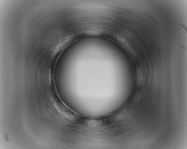 X0000100410494200806131039