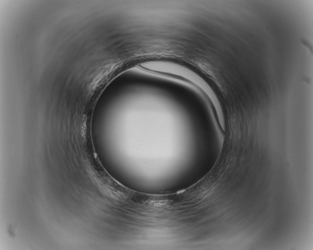 X0000100410495200806131039