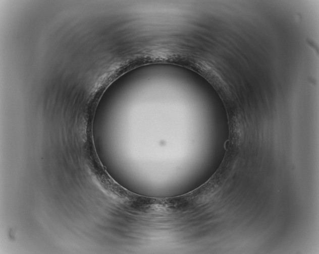 X0000100410496200806131039