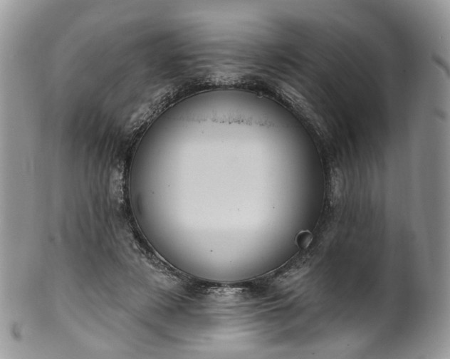 X0000100410497200806131039