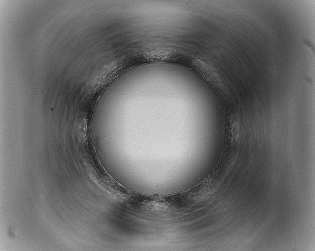 X0000100410498200806131039