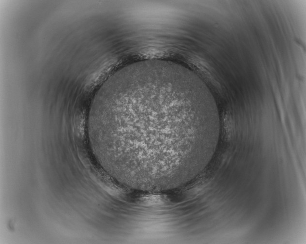 X0000100410499200806131039