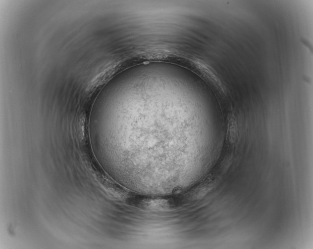 X0000100410501200806131039