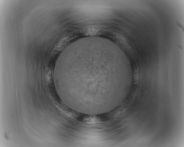 X0000100410503200806131039