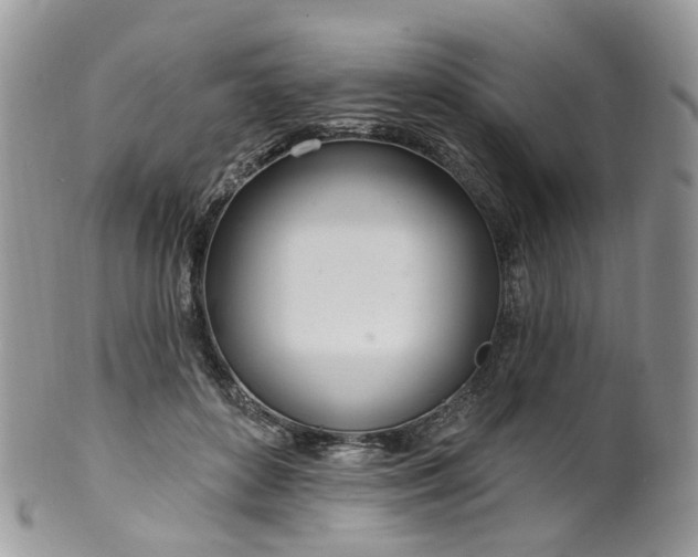 X0000100410504200806131039