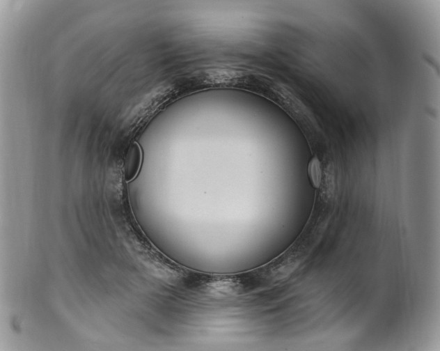 X0000100410505200806131039