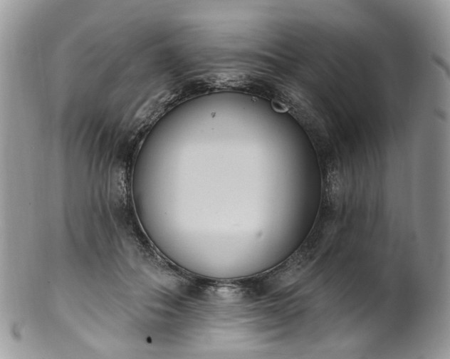 X0000100410506200806131039