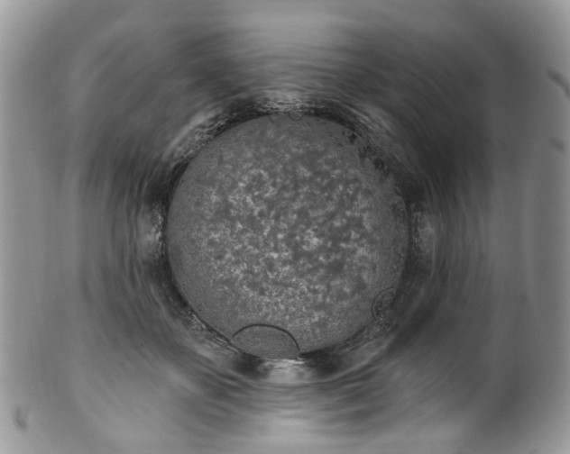 X0000100410507200806131039