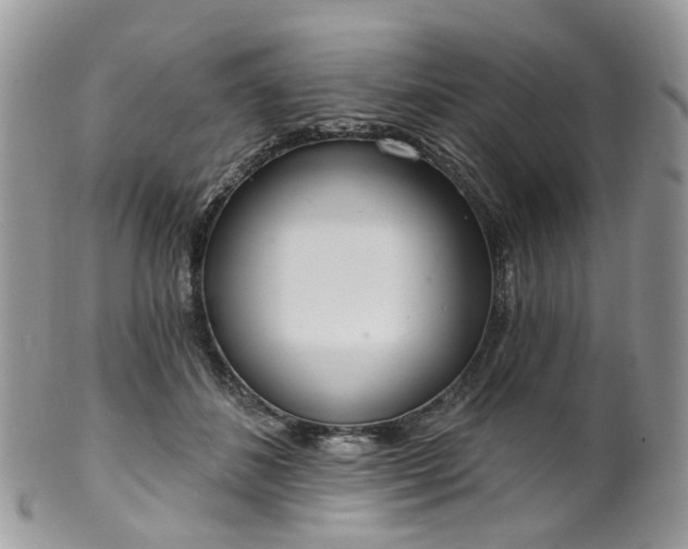 X0000100410508200806131039