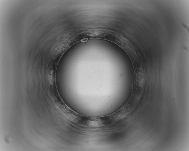 X0000100410510200806131039