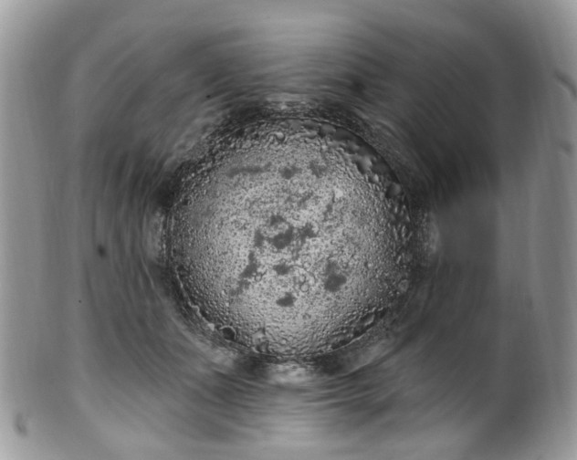 X0000100410511200806131039