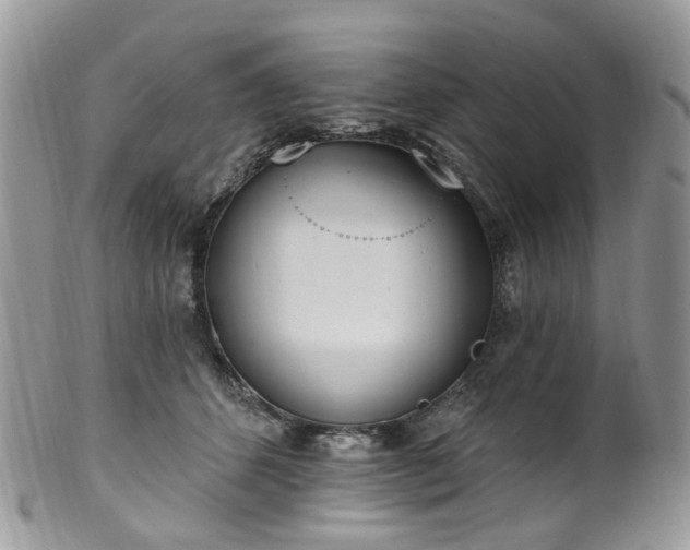 X0000100410512200806131039