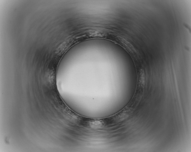 X0000100410513200806131039