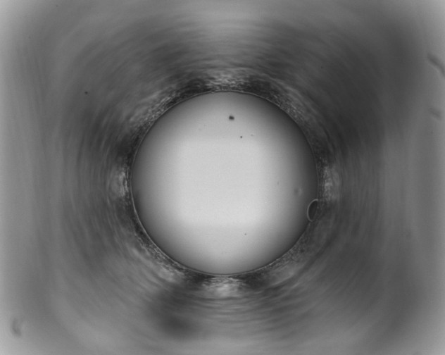 X0000100410514200806131039