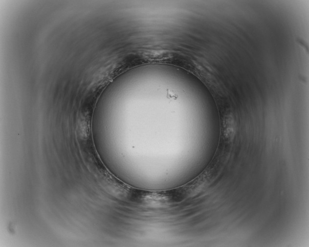 X0000100410515200806131039