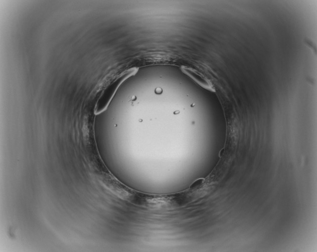 X0000100410516200806131039