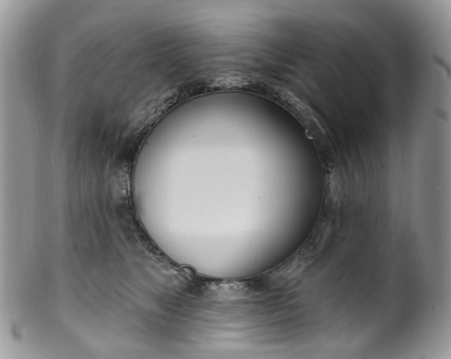 X0000100410517200806131039