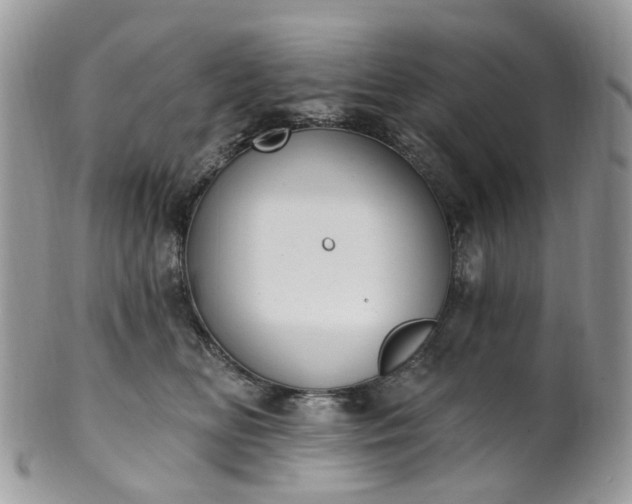 X0000100410518200806131039