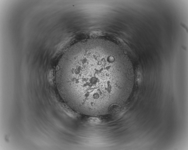 X0000100410519200806131039