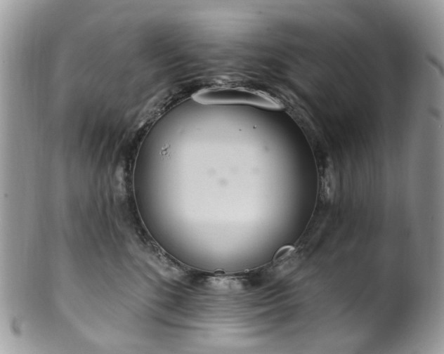 X0000100410520200806131039