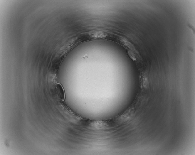 X0000100410521200806131039