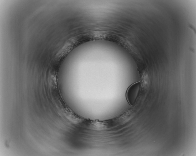 X0000100410522200806131039