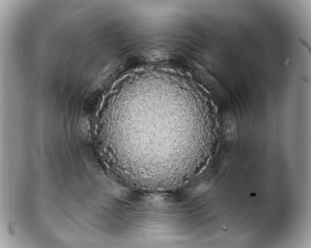 X0000100410523200806131039