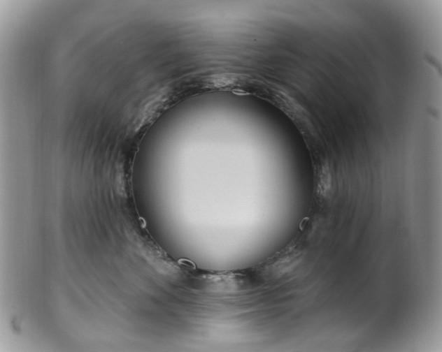 X0000100410524200806131039