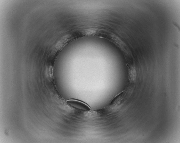 X0000100410525200806131039