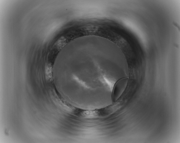 X0000100410526200806131039