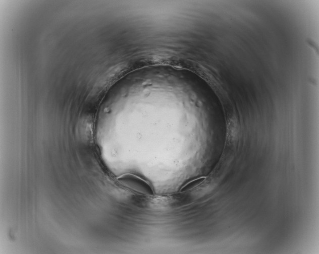 X0000100410527200806131039