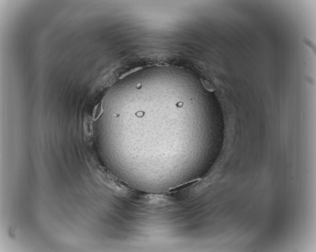 X0000100410528200806131039